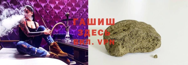 гидра Коряжма