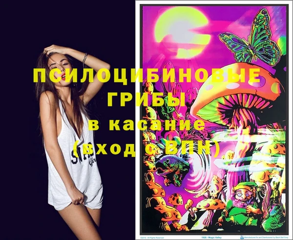 дживик Верея