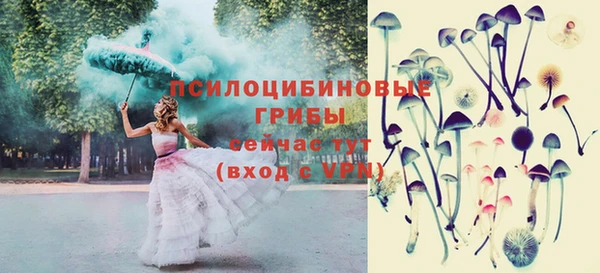 дживик Верея