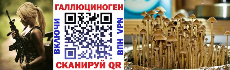 ссылка на мегу зеркало  Заволжск  Псилоцибиновые грибы Psilocybine cubensis 